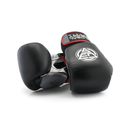 Boxhandschuhe Competition Basic